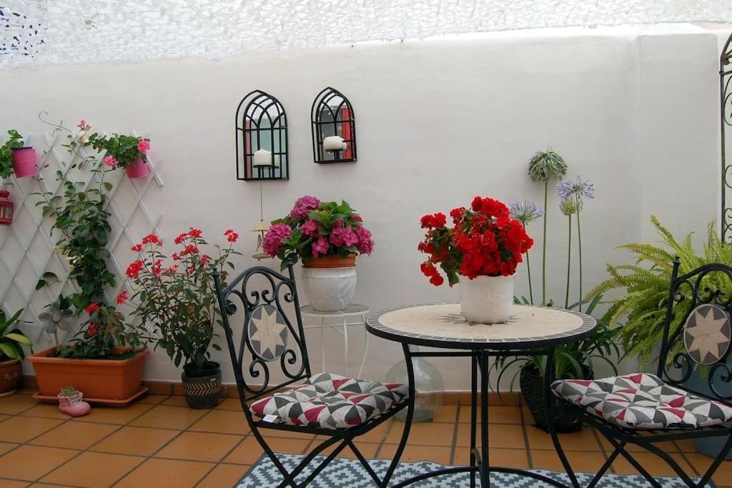 Apartment Espectacular Estudio Loft Chill Out By The Sea *