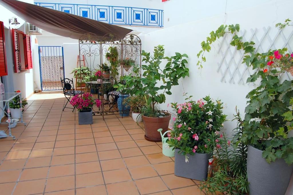 Espectacular Estudio Loft Chill Out By The Sea Almunecar